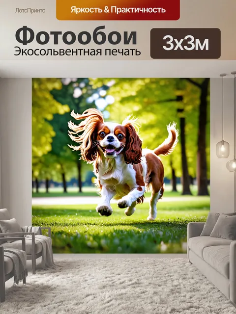Фотообои реалистичная фотография кавалера кинг чарльз спаниеля