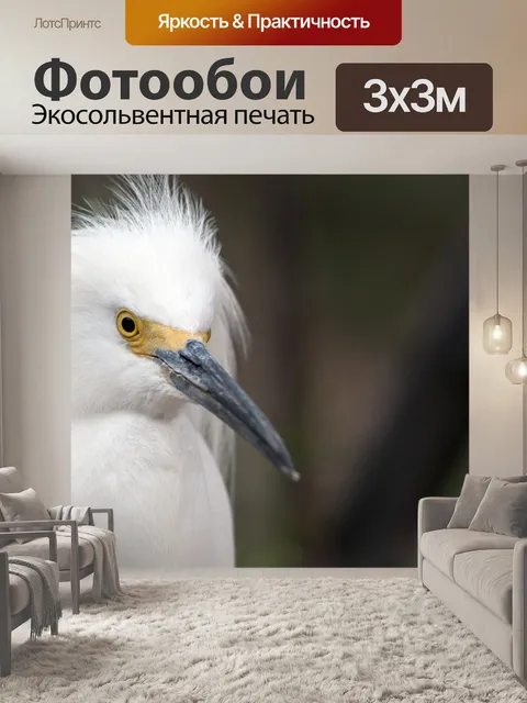 Фотообои Снежная цапля