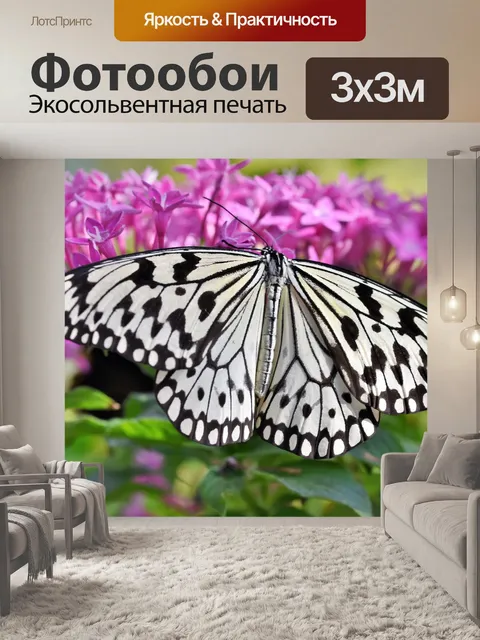 Фотообои Бабочка