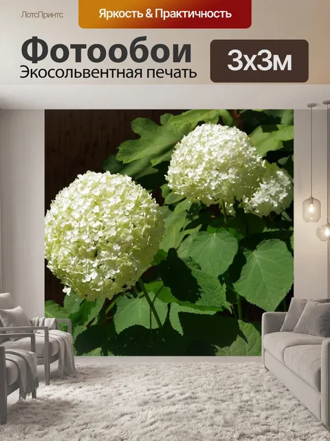 Фотообои Цветок