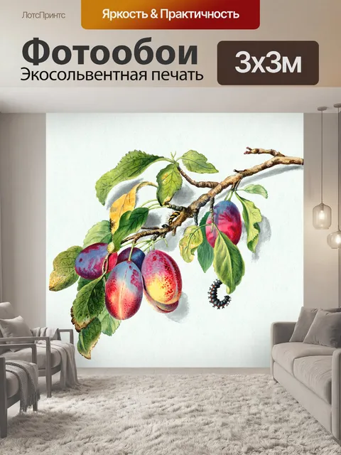 Фотообои Сливы фрукты фрукты арт