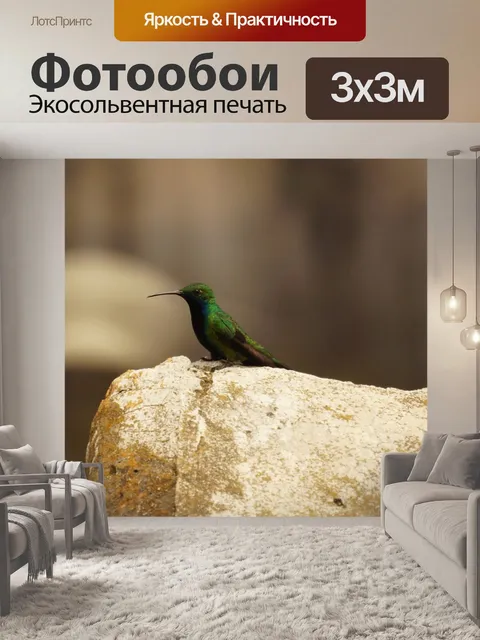 Фотообои Птицы