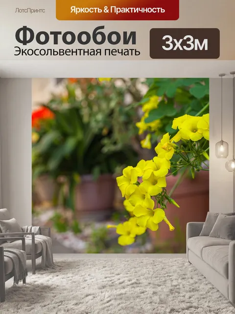Фотообои Цветы