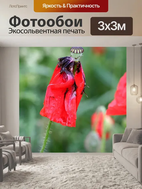 Фотообои Цветы
