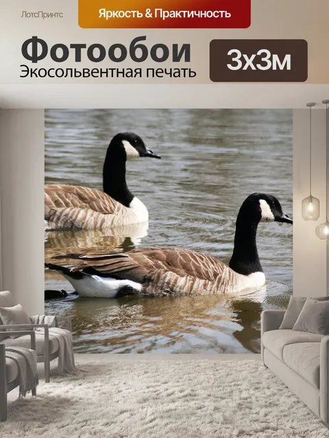 Фотообои Гуси
