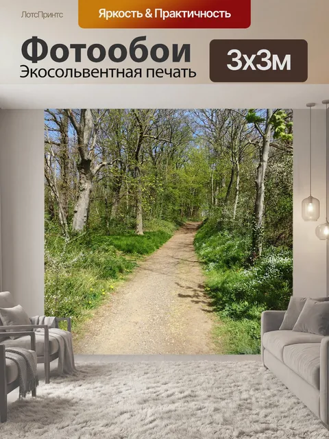 Фотообои Лес вход