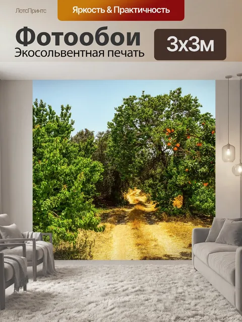 Фотообои Грязная дорога