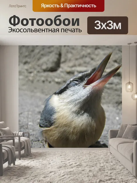 Фотообои Птица