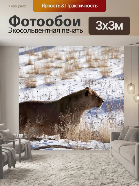 Фотообои Львица
