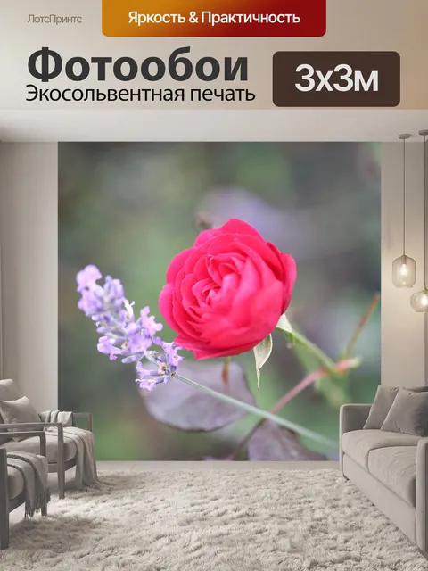 Фотообои Роза