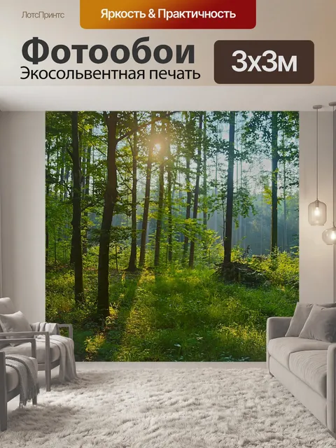Фотообои Лес
