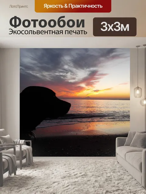 Фотообои Собака