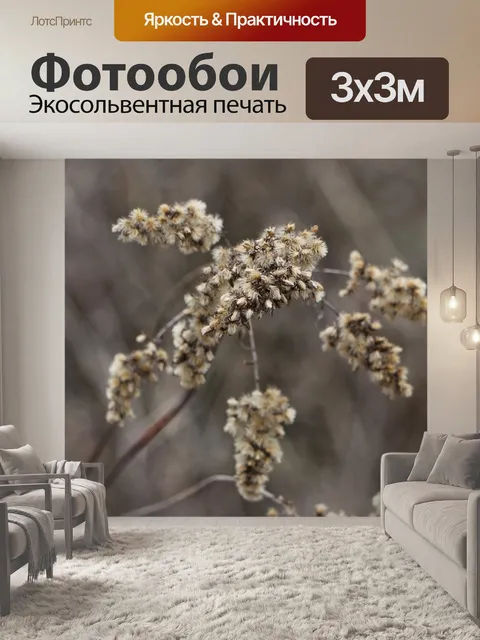 Фотообои Цветы