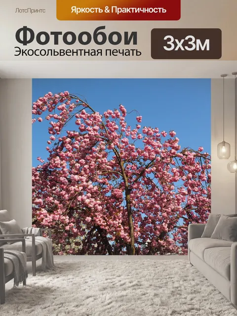 Фотообои Вишня в цвету