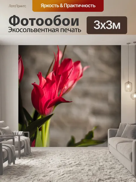 Фотообои Тюльпаны