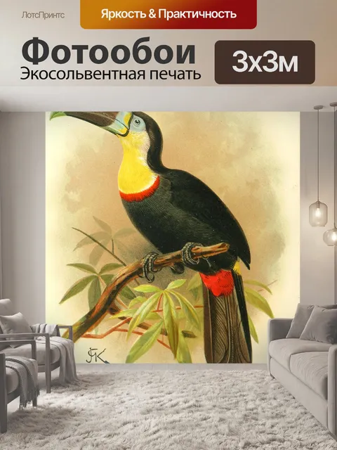 Фотообои Винтажное искусство туканской птицы