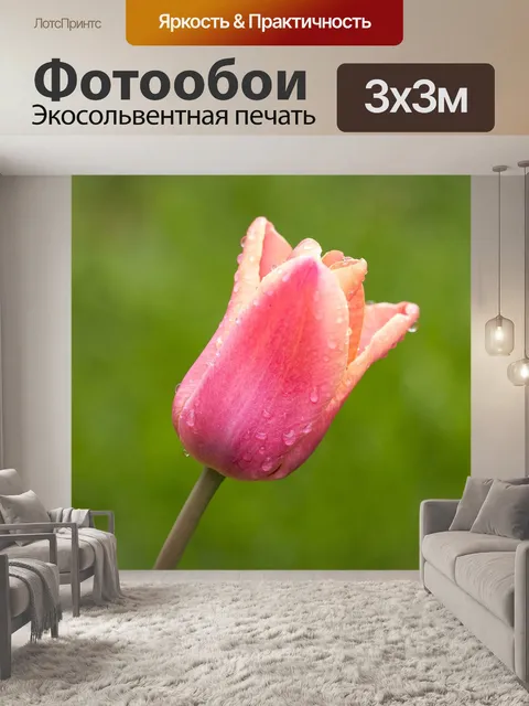 Фотообои Цветок