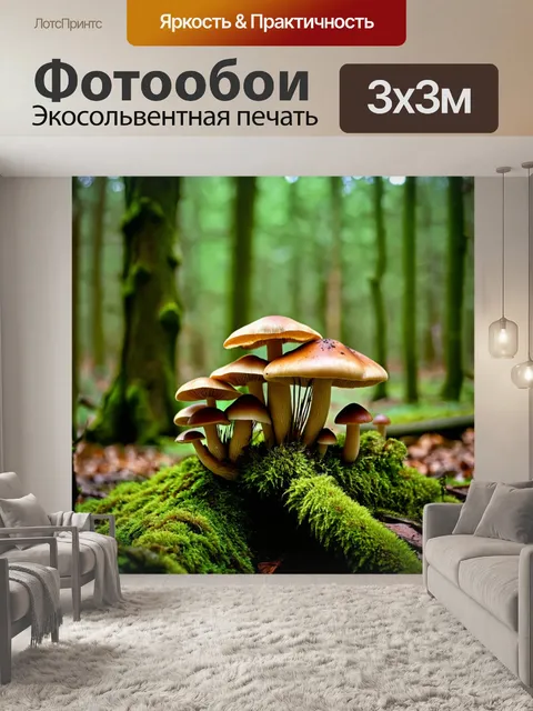 Фотообои грибы грибное разнообразие