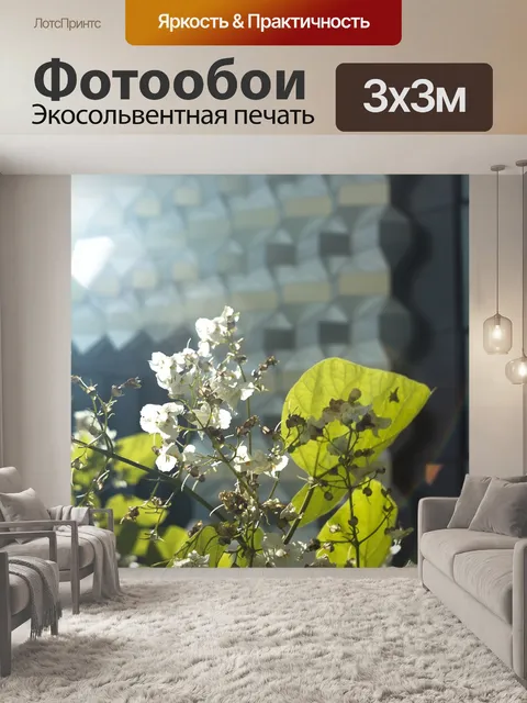 Фотообои Архитектура
