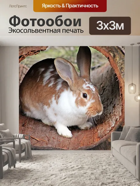 Фотообои Кролики