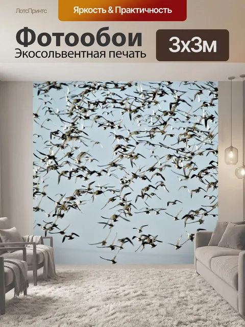 Фотообои Птицы