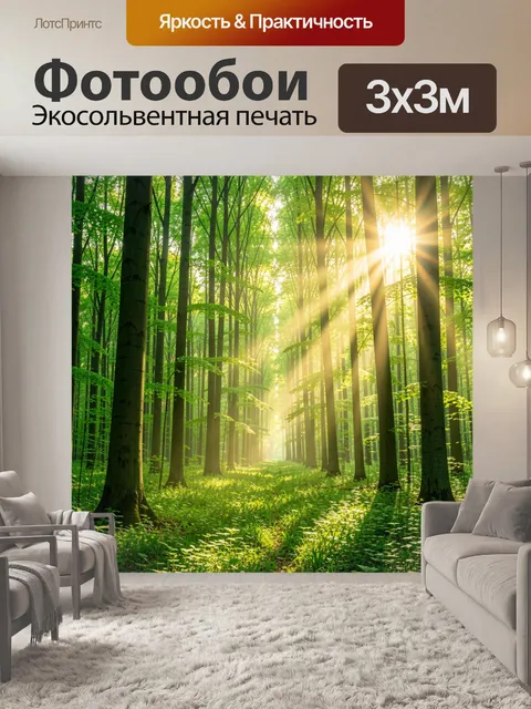 Фотообои Солнечный лес с высокими деревьями