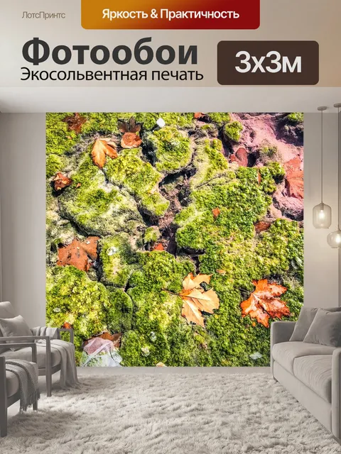 Фотообои Мох