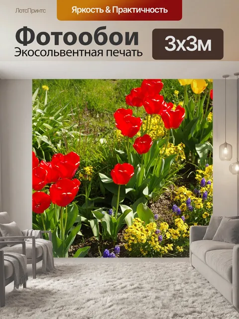 Фотообои Тюльпаны