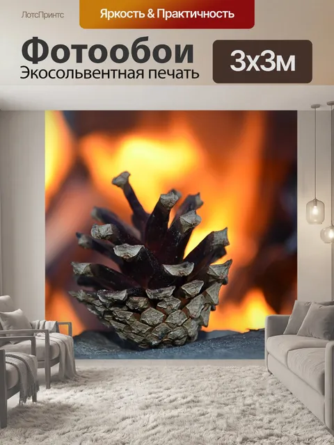 Фотообои Конус