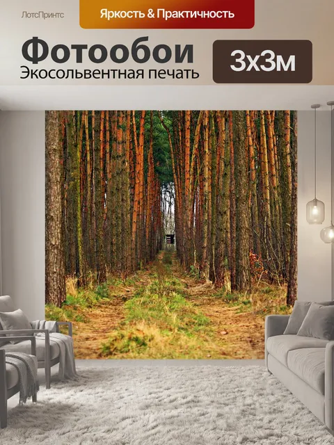 Фотообои Лес