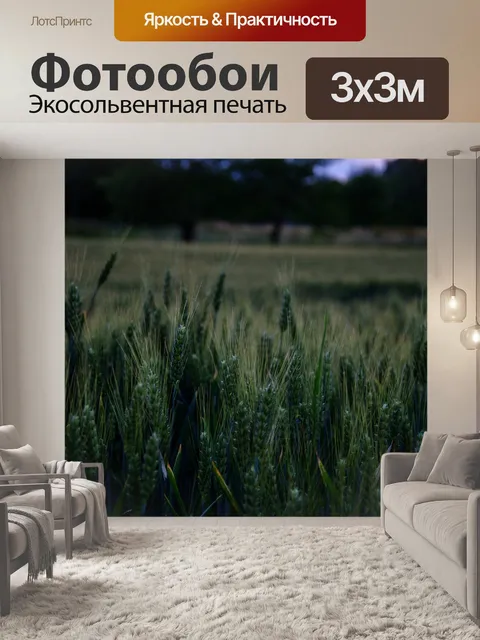Фотообои Пшеница
