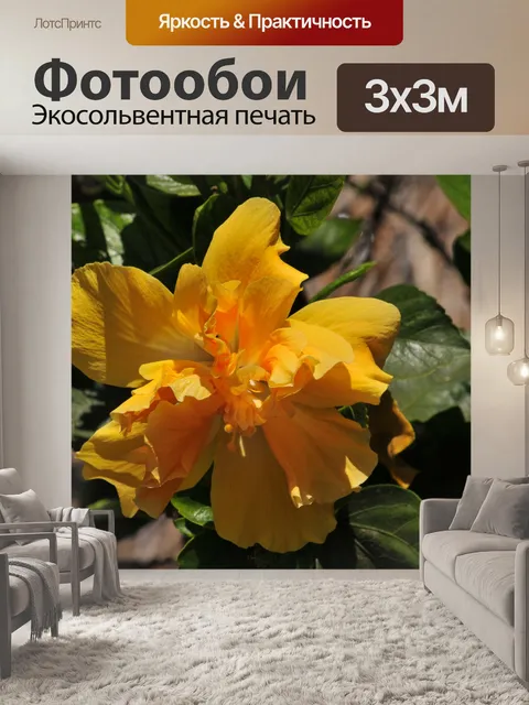 Фотообои Золотой цветок гибискуса