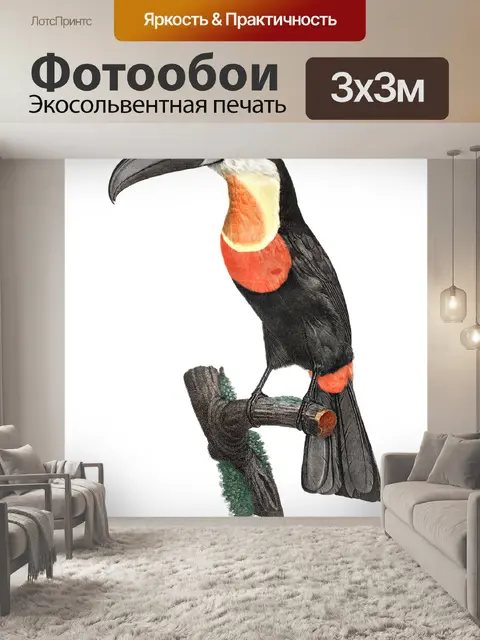 Фотообои Тукан