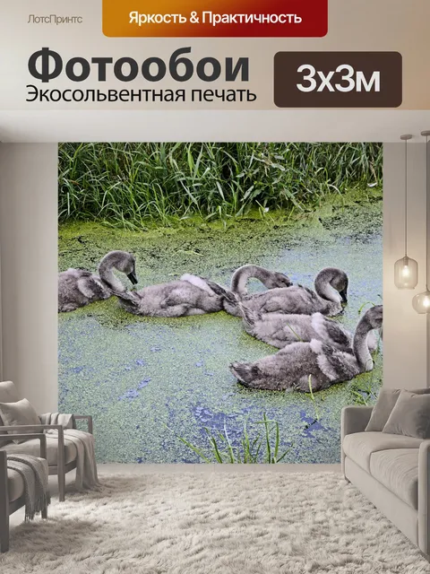 Фотообои Лебеди
