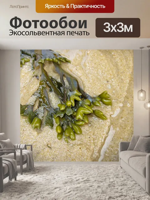 Фотообои Морские водоросли
