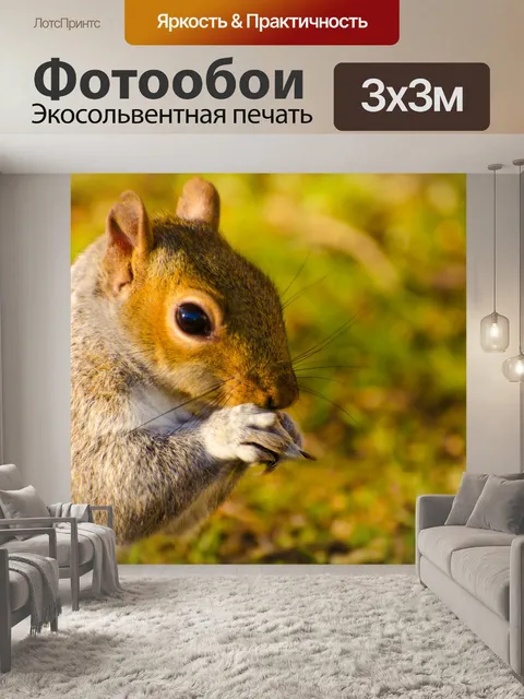 Фотообои Белка