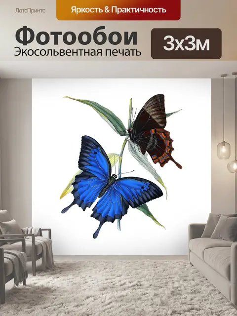 Фотообои Винтажный клипарт бабочка