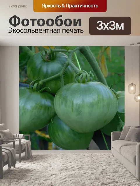 Фотообои Зеленый