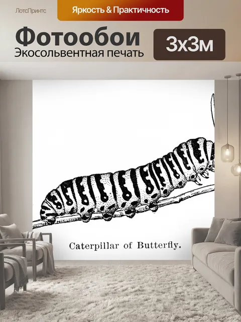 Фотообои Иллюстрация гусеницы винтажного искусств