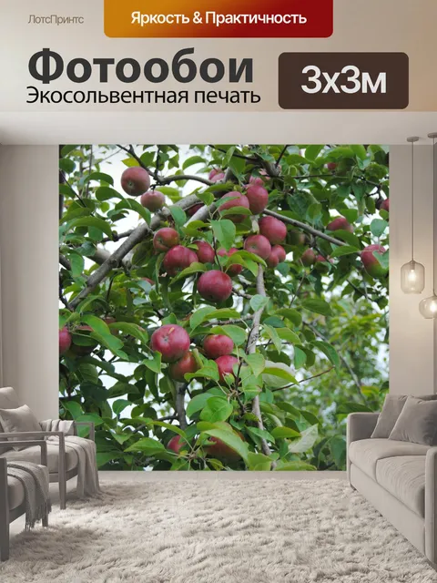 Фотообои Яблоки