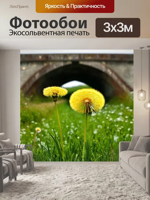 Фотообои одуванчики, растущие на старом мосту