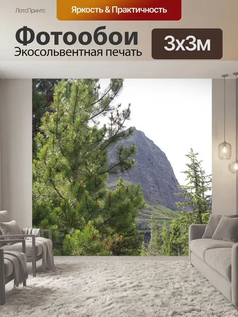 Фотообои Сосна в горах
