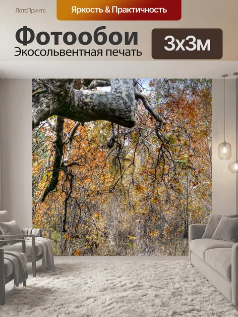 Фотообои Осенняя листва