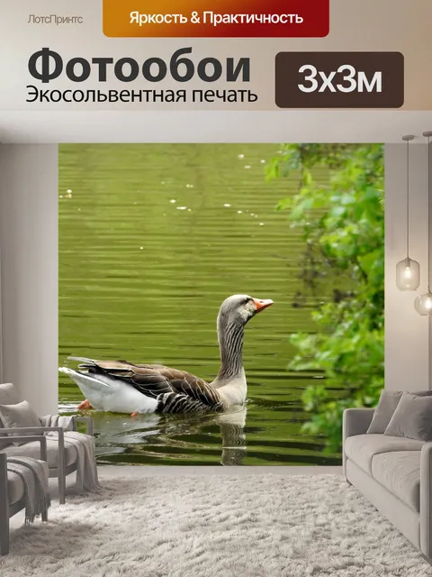 Фотообои Гусь