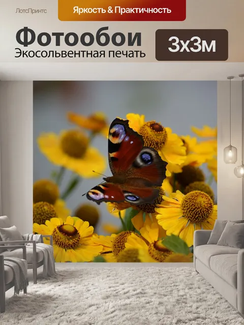 Фотообои Бабочка