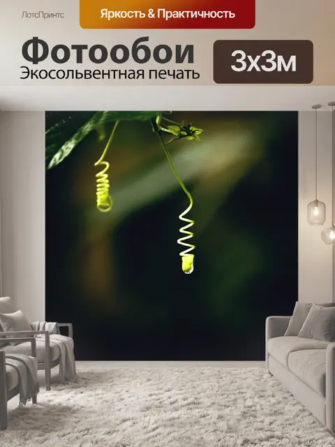 Фотообои Природа