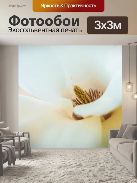 Фотообои Цветок