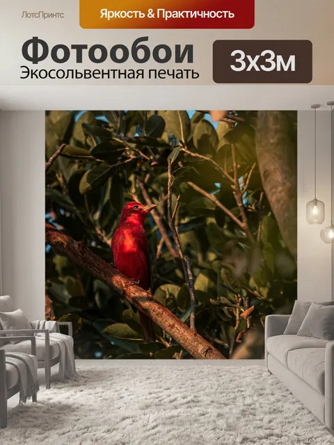 Фотообои Птица