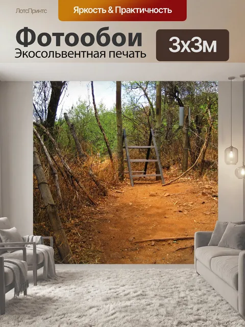 Фотообои перемычка лестничного типа
