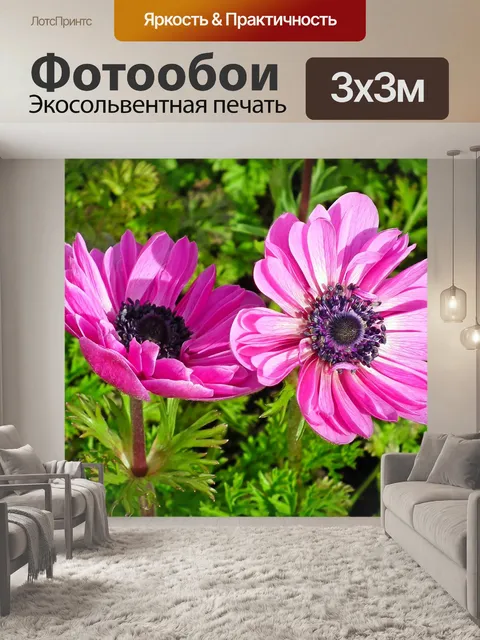 Фотообои Анемоны